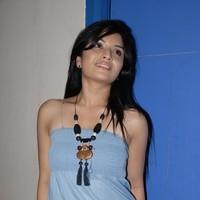 Nisha Shetty at Facebook Movie Logo Launch - Stills | Picture 93648